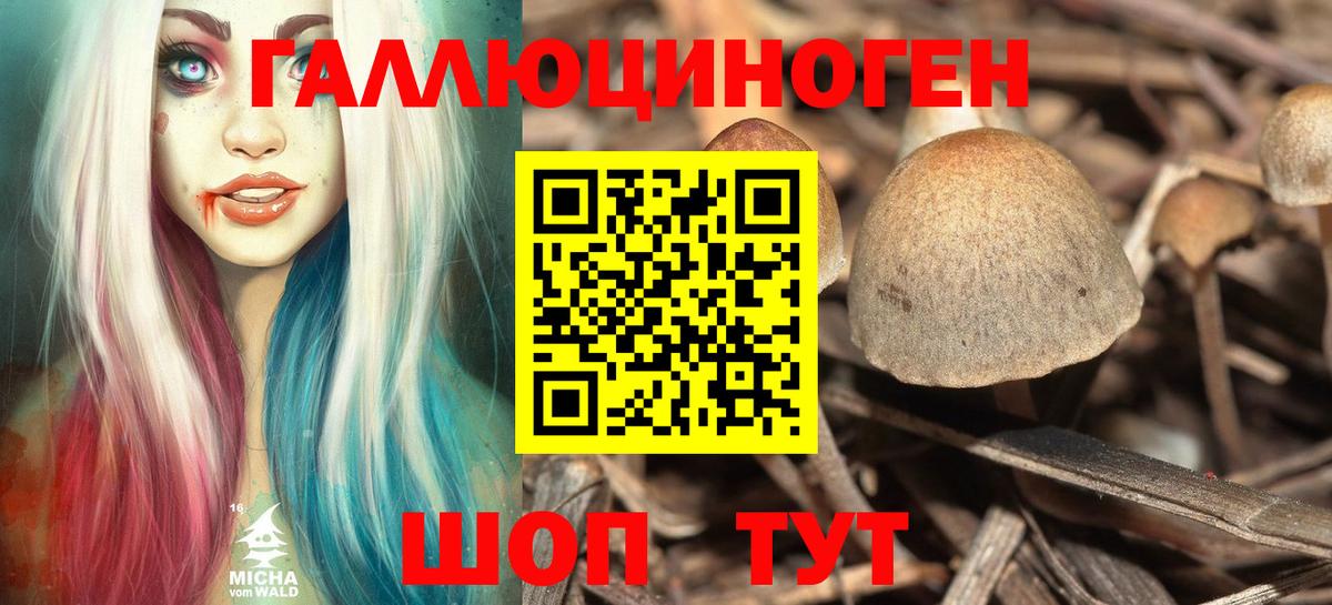 Псилоцибиновые грибы ЛСД Каспийск