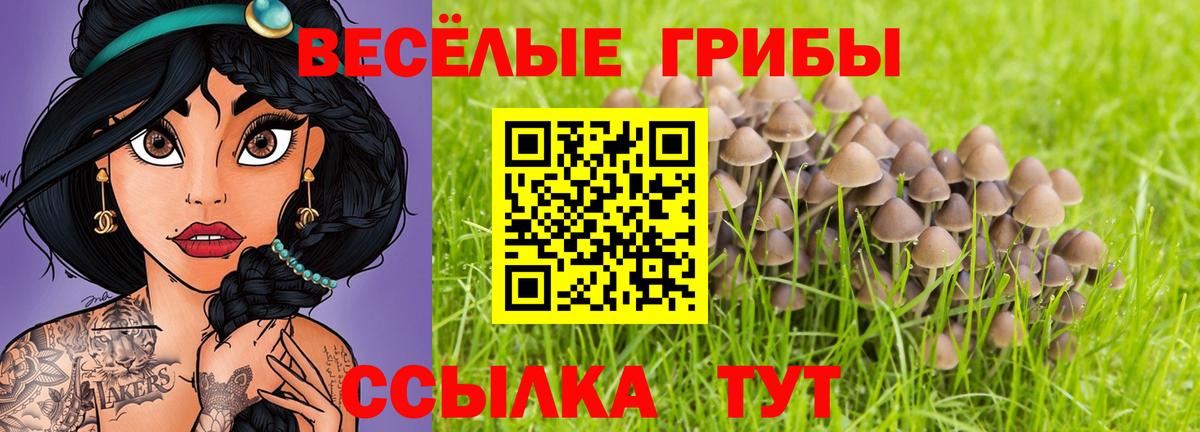 Псилоцибиновые грибы GOLDEN TEACHER  Вход с VPN  Каспийск 